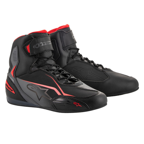 Daisy on the Ohoopee